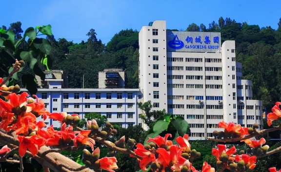 攀枝花钢城集团有限公司