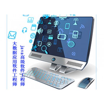 大数据应用软件工程师