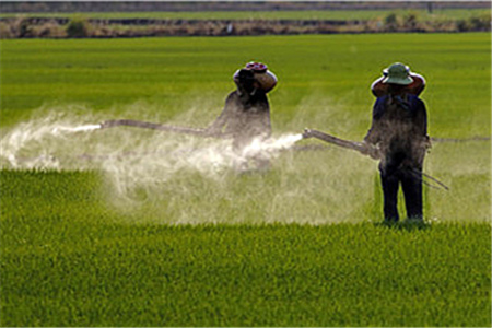 草甘磷消泡剂在农业中的应用
