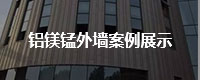 铝镁锰外墙案例展示