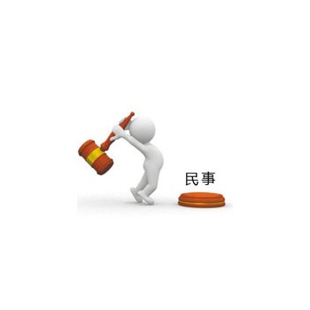 民事执行案件