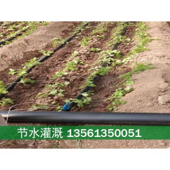 节水灌溉用滴管设备PE管及PE软带