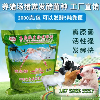 污水处理菌种，养猪场猪粪处理发酵剂 EM菌种