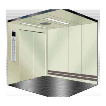 湖南电梯-H1002车用电梯