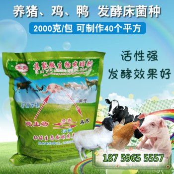 养鸡 发酵床菌种 直接撒的鸡粪发酵剂