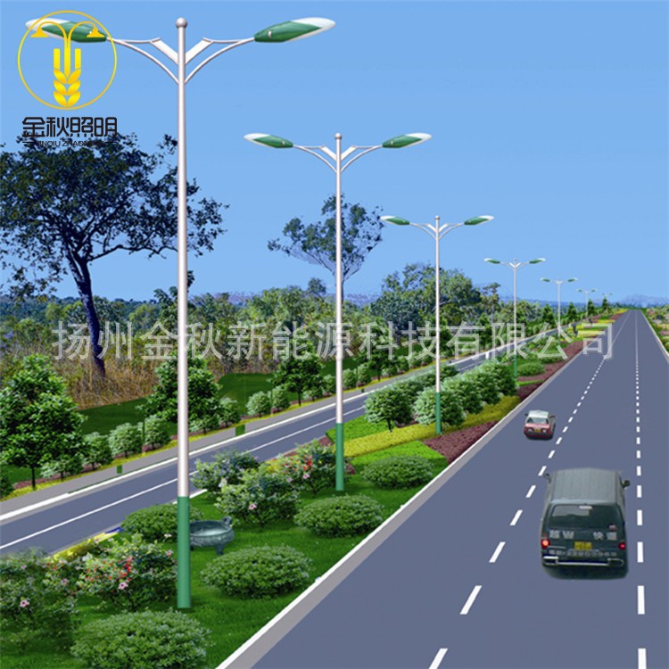 批发8米6米特色路灯杆民族风10米12米单臂灯杆LED路灯杆生产厂家太阳能单双臂路灯杆挑臂方形镀锌灯杆厂家示例图21