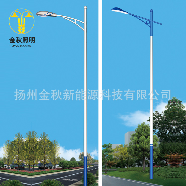 批发8米6米特色路灯杆民族风10米12米单臂灯杆LED路灯杆生产厂家太阳能单双臂路灯杆挑臂方形镀锌灯杆厂家示例图16
