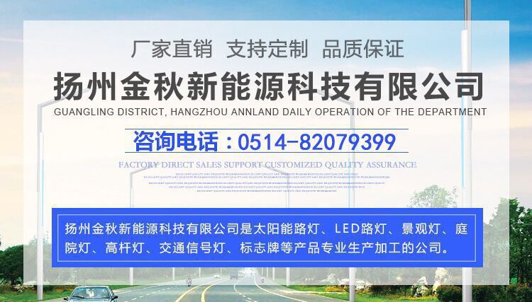 LED路灯杆5米6米7米8米新农村户外防水高杆道路灯太阳能路灯6米30w40w新农村乡村路灯户外LED超亮高杆锂电池示例图6