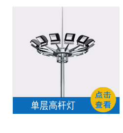 户外广场篮球场防水中杆灯高杆灯 大功率LED投光灯室外照明球场LED高杆灯 新农村建设升降系统LED中杆灯高杆路灯示例图7