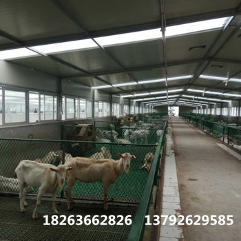 羊用塑料地板标准化羊场设施新疆羊床
