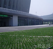 高承载植草地坪-02