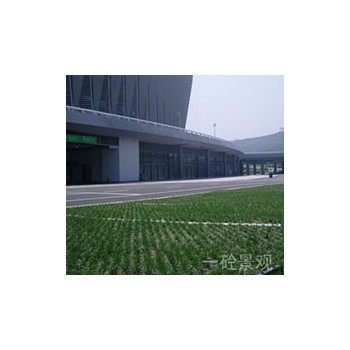高承载植草地坪