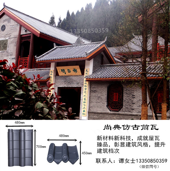 DSC01258_副本