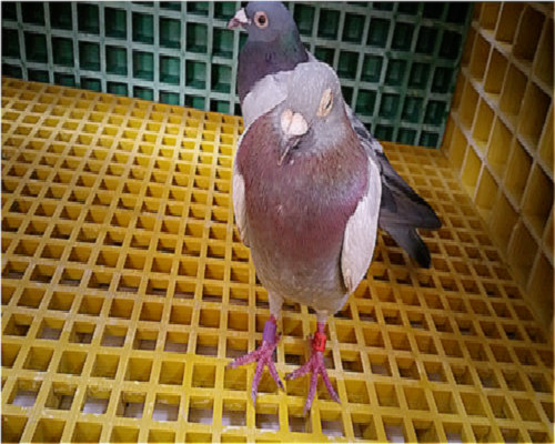 636654484128272475315_meitu_82