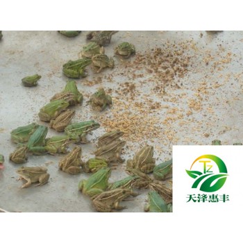 投资青蛙养殖4亩地需要多少成本