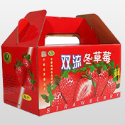 水果彩色纸箱