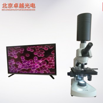北京卓越  黑背景一滴血检测仪生物显微镜 细胞分析仪