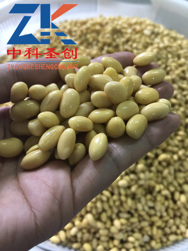微信图片_20180928151741_副本
