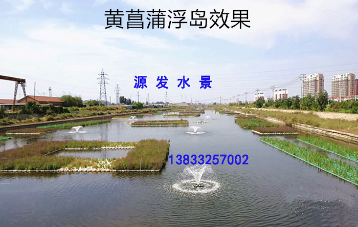 黄菖蒲浮岛效果
