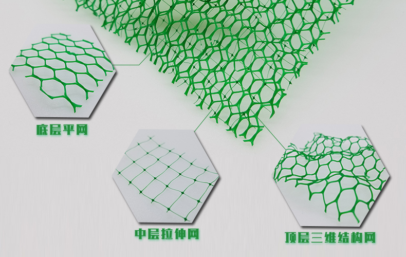 三维植被网