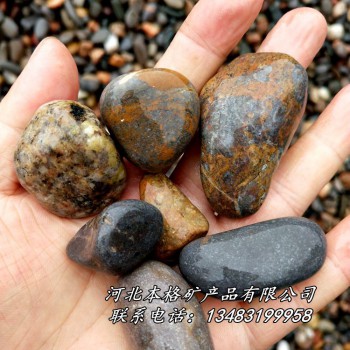 本格供应机制鹅卵石 天然鹅卵石 优质鹅卵石 卵石砾石垫层