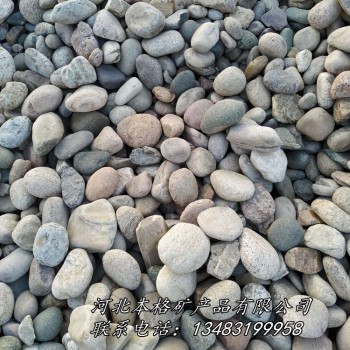 本格供应优质鹅卵石 建筑铺路鹅卵石 污水过滤鹅卵石