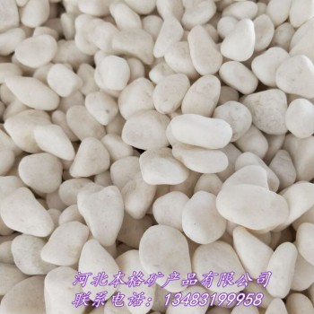 本格厂家供应 白色鹅卵石 盆景填充1-3cm白色鹅卵石