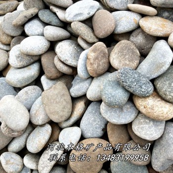 鹅卵石供应厂家 天然鹅卵石 8cm-12cm 大小均匀