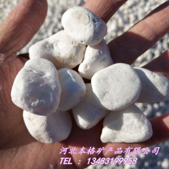 鹅卵石厂家 供应小白石子 白色洗米石 园林造景白色鹅卵石