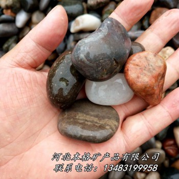 鹅卵石批发 鹅卵石价格 天然鹅卵石 杂色鹅卵石 机制鹅卵石