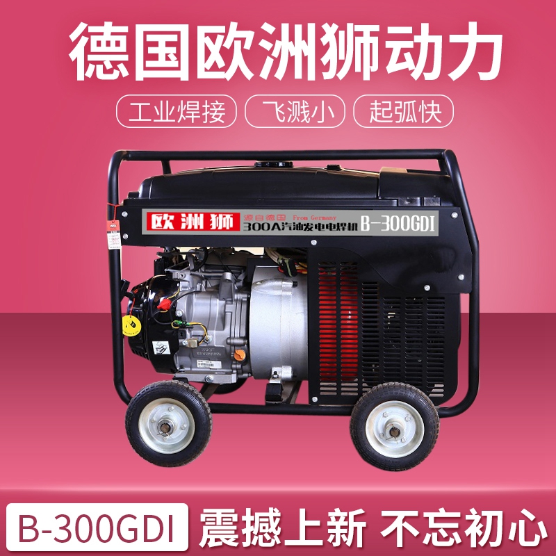  300A汽油发电电焊机