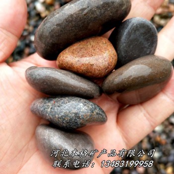 本格 水处理用各种规格鹅卵石  铺路景观鹅卵石 杂色鹅卵石