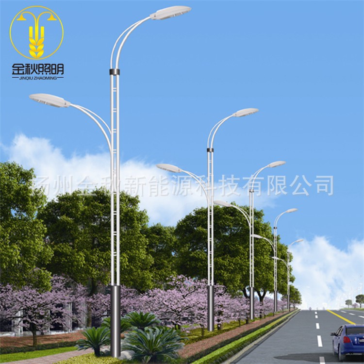 金秋新款大型会场 广场景观灯生产厂家 仿古现代欧式双头庭院灯价格 方形立柱led景观灯 批发别墅区公园 太阳能景观灯示例图10