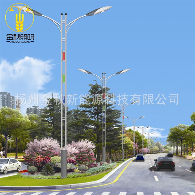 金秋新款大型会场 广场景观灯生产厂家 仿古现代欧式双头庭院灯价格 方形立柱led景观灯 批发别墅区公园 太阳能景观灯示例图3