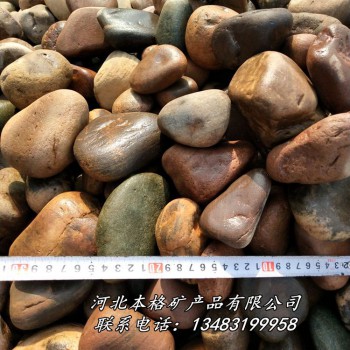 本格厂家直销 秦皇岛 天然鹅卵石 黑色鹅卵石 机制鹅卵石