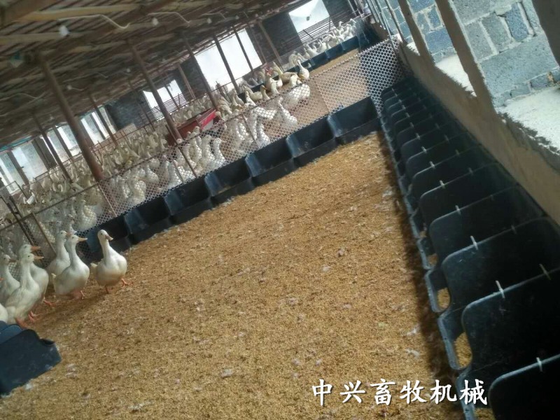 QQ图片20170401095957