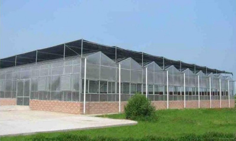 新型温室大棚