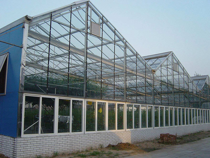 连栋大棚建设