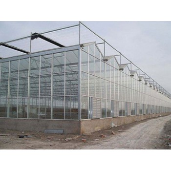 连栋大棚连栋温室大棚连栋大棚建设科林温室工程公司
