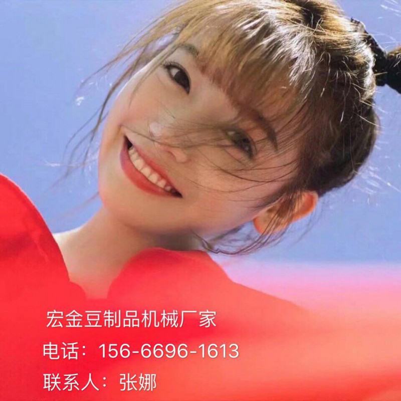 宏金豆腐干机