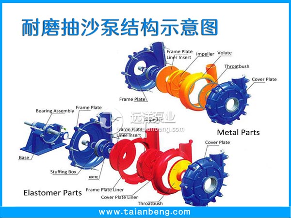 耐磨抽沙泵结构示意图