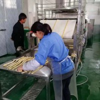 全自动腐竹机设备 不锈钢腐竹机厂家直销