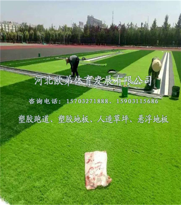 微信图片_20190216124730