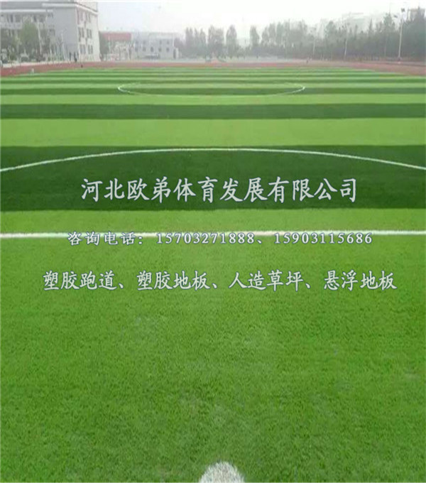 微信图片_20190216124642