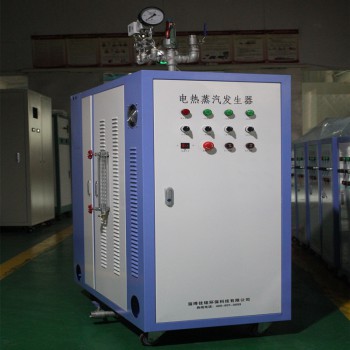 蒸发器-小型电热蒸汽发生器 食用菌去菌电加热蒸汽发生器108