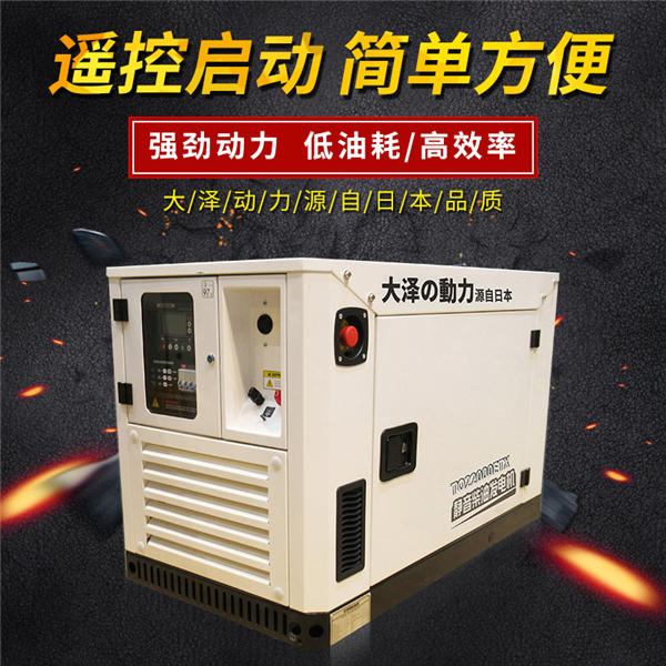 20kw小型柴油发电机 (1)