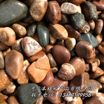 本格供应威海 彩色河卵石 鹅卵石 铺地专用鹅卵石 机制卵石