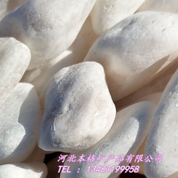 本格厂家供应天然优质白色鹅卵石  白色石子 汉白玉鹅卵石