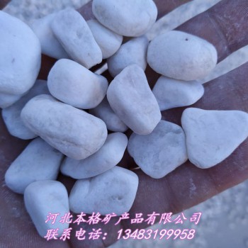 天津白色鹅卵石批发2-3公分 3-5公分 白色抛光鹅卵石价格