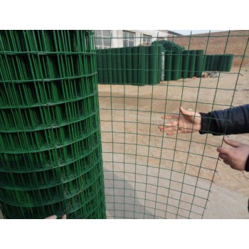 绿色铁丝网 铁网围栏 养殖隔离网 养鸡围栏网